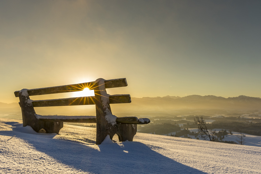 Platz 12 Conny Kleiner